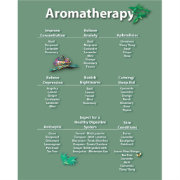 Moss Green Aromatherapy Chart Poster | Zazzle.com