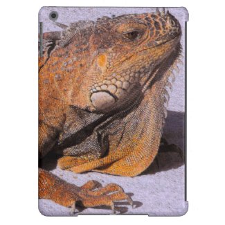 Portrait of the Iguana Cover For iPad Air