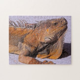 Portrait of the Iguana Jigsaw Puzzle