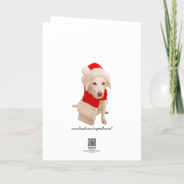 Christmas Cats In Car Holiday Invitation