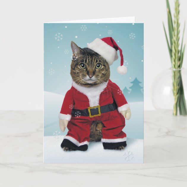 Santa Claws Christmas Invitation