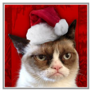 Grumpy Cat Christmas Ornament | Zazzle.com