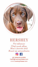 Elegant Photo Rose Gold Dog Pet Social Media Business Card