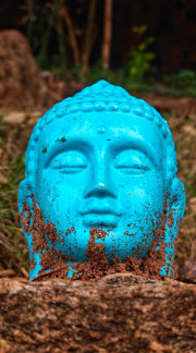 Budha bless you Case-Mate iPhone 14 case