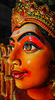 Navaratri Special Case