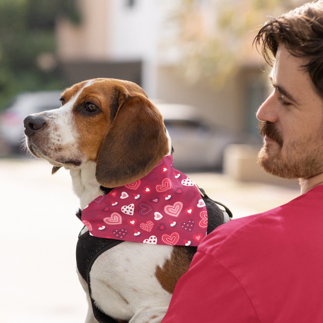 Red and white Valentine's hearts pattern Bandana (Creator Uploaded)