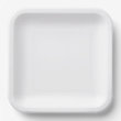 Paper Plate