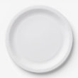 Paper Plate