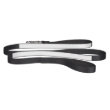 Dog Leash