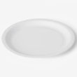 Paper Plate