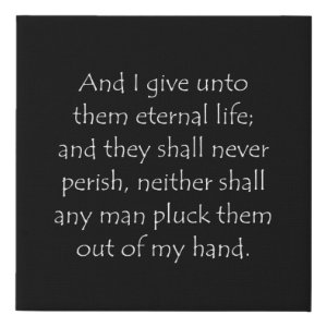John 10:28 typographic Bible verse print