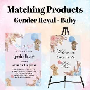 Budget gender reveal teddy bear pink blue baby