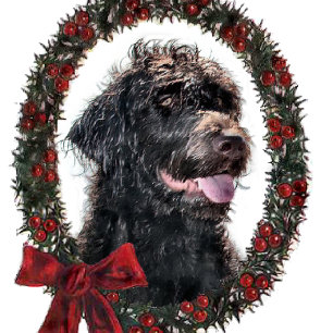 Labradoodle Christmas Gifts Holiday Card