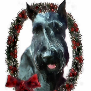 Giant Schnauzer Christmas Gifts Holiday Card