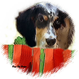 English Setter Christmas Gifts Holiday Card