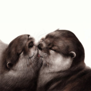 Hand Painted Realistic Wildlife Artwork Shot Glass