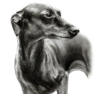 Hand Painted Greyhound Pet Portrait T-Shirt