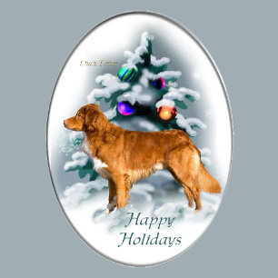 Nova Scotia Duck Tolling Retriever Christmas Gifts Holiday Card
