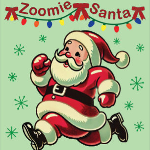 Zoomie Santa Christmas Insulated Tumbler