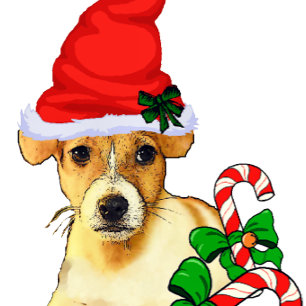 Jack Russell Terrier Christmas Holiday Card