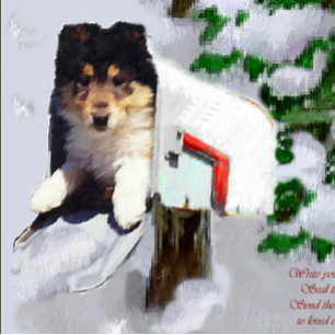 Tri-Color Collie Puppy Christmas Gifts Holiday Card