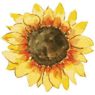 Rustic sunflower. Postpone kraft Change the Date Invitation Postcard