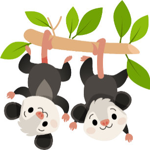 Funny Opossum Birthday Invitation 