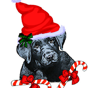 Labrador Retriever Christmas Holiday Card