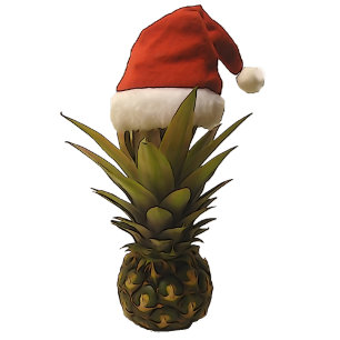 Hawaiian Pineapple Santa Hat Christmas Card