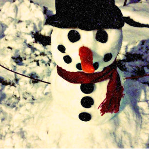 Northern Lights & Meteors Winterscape Holiday Card