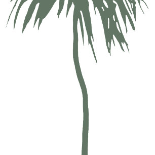 Mele Kalikimaka Hawaiian Christmas Palm Card