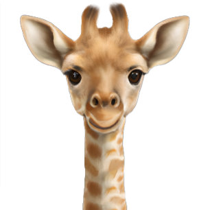 Oh Boy Baby Giraffe Books for Baby Baby Shower  Enclosure Card