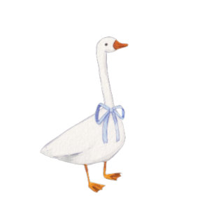 Alittle gosling is on the way blue paper plates