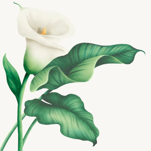 Elegant Watercolor Lilly Baby Shower Invitation