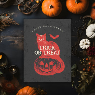  Vintage Orange Red Pumpkin Cat Halloween Party Postcard