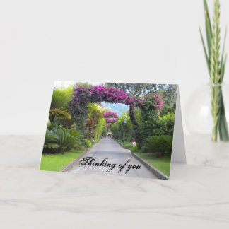 Thinking Of You Cards  Zazzle