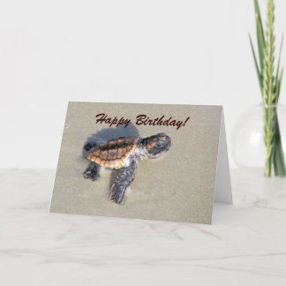 Sea Turtle Gifts on Zazzle