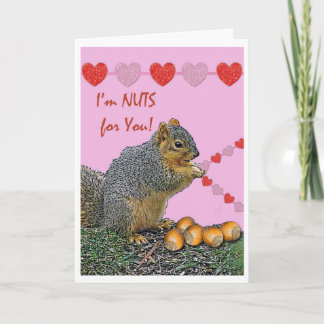 squirrel valentine stuffed animal