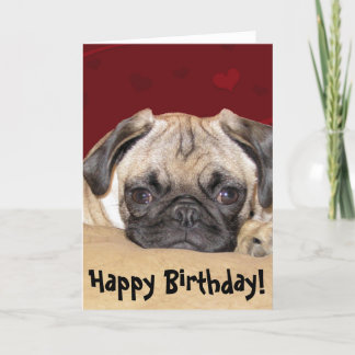 Cute Puppy Gifts on Zazzle