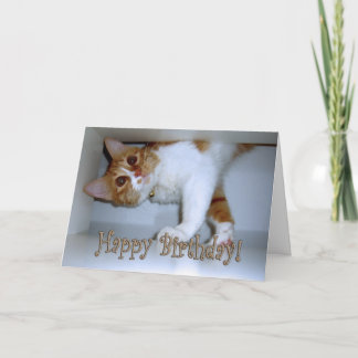 Happy Birthday Orange Cat Gifts on Zazzle