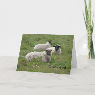 Sheep Thank You Cards | Zazzle