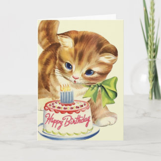 Kitten Cards | Zazzle