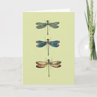 Dragonfly Cards | Zazzle