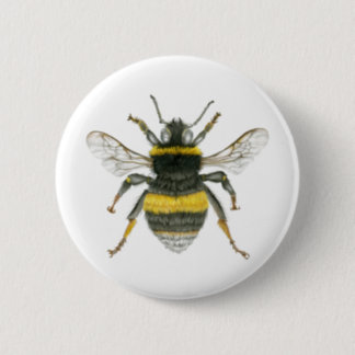 Bumble Bee Gifts on Zazzle