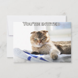 Cat Party Invitations & Announcements | Zazzle