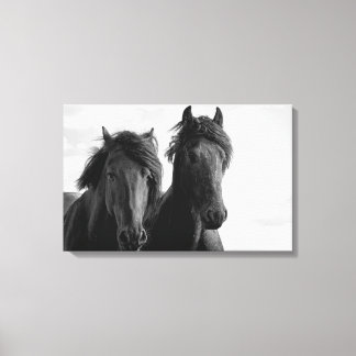 Head On Black And White Horse Art & Framed Artwork | Zazzle