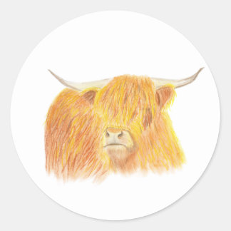 Highland Cattle Stickers | Zazzle