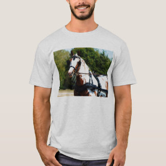 Carriage Driving Clothing & Apparel | Zazzle