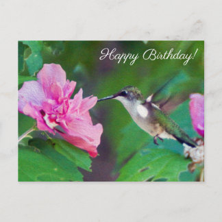 Hummingbird Happy Birthday Cards - Greeting &amp; Photo Cards | Zazzle