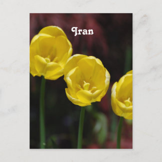 Iranian Gifts on Zazzle